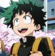 Izuku Midoriya 