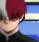 Shoto Todoroki
