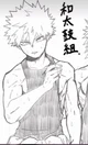 MHA-Katsuki Bakugou