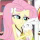 fluttershy