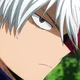 Todoroki shoto 