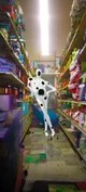 Spiderverse rp