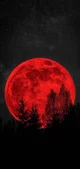 BLOOD MOON-ENHYPEN 