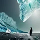 Antarctica Flower