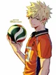 Volleyball Katsuki