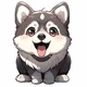 Husky Dog