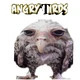 Funny bird