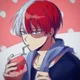 Shouto Todoroki 