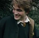 Cedric Diggory