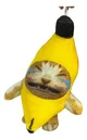 Banana cat