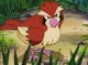 Pidgey