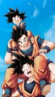 The Son Family 