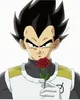 Vegeta 