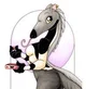 Anteater Wife