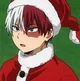 Shoto Todoroki