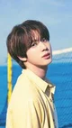 Kim Seok Jin 