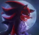 Werehog shadow 