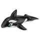 Black Intex Whale