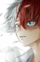 Todoroki Shoto 