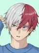 Shoto todoroki