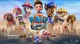 Paw patrol