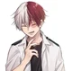 Shoto Todoroki