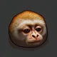 Monomonkey