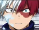 Shoto Todoroki 