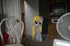 derpy hooves