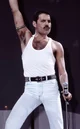 freddie mercury 