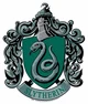 Slytherin Boys