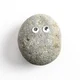 Your pet rock