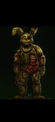 Hush springtrap 