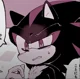 Shadow the hedgehog
