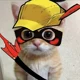 Kitten Roy Harper