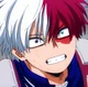 Shoto Todoroki