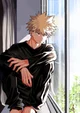 Bakugous twin