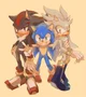 Sonic Shadow Silver