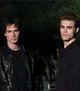 Salvatore Brothers