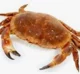 Weird crab