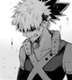 Katsuki bakugou 