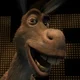 Donkey