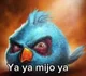 Ya ya mijo ya