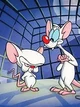 Pinky And The Brain