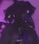 The Widow