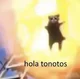 Hola Tonotos