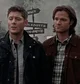 THE WINCHESTERS