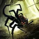 Arachna