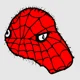 Spider papu