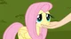 Fluttershy